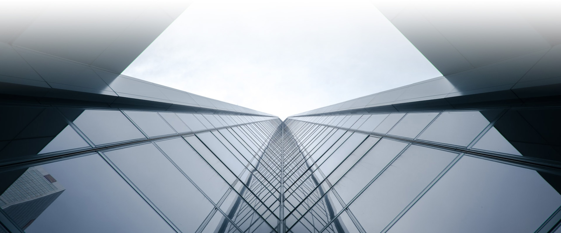 国林控股-京旗叁佰陆拾度网络科技（北京）有限公司